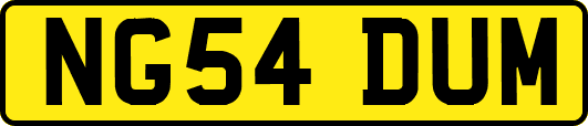 NG54DUM