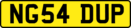 NG54DUP