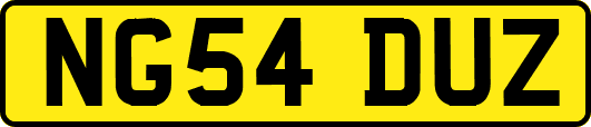 NG54DUZ