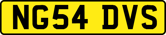 NG54DVS