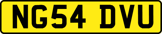 NG54DVU
