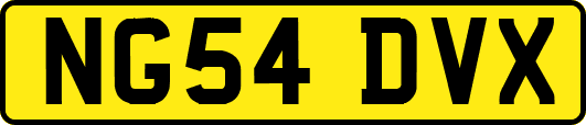 NG54DVX