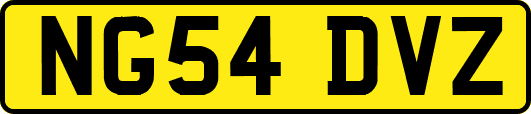 NG54DVZ