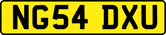 NG54DXU