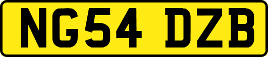 NG54DZB