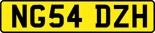 NG54DZH