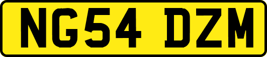 NG54DZM