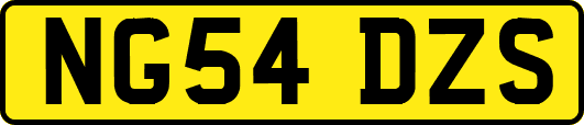 NG54DZS