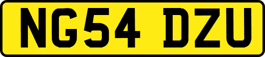 NG54DZU