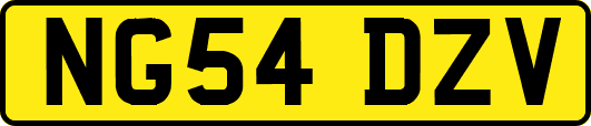 NG54DZV