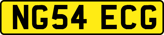 NG54ECG
