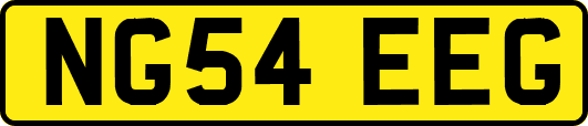 NG54EEG