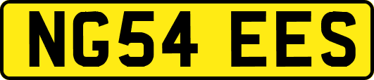 NG54EES