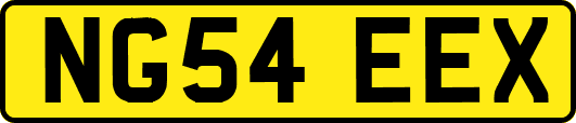 NG54EEX