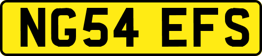 NG54EFS