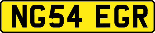 NG54EGR
