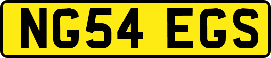 NG54EGS