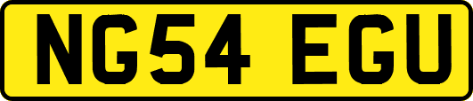 NG54EGU