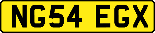 NG54EGX