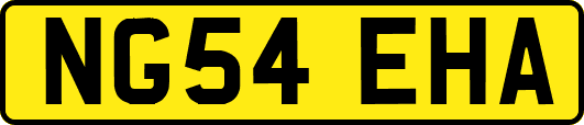 NG54EHA