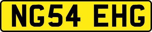 NG54EHG