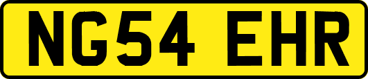 NG54EHR