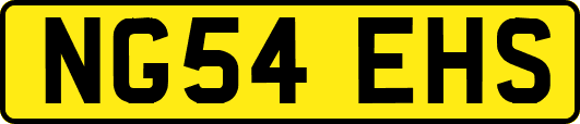 NG54EHS