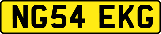 NG54EKG