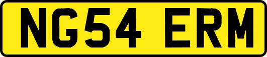 NG54ERM