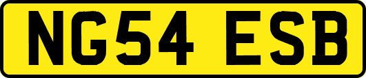 NG54ESB