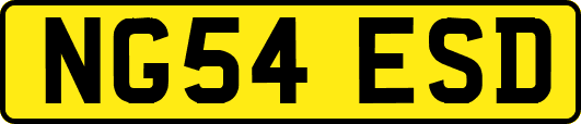 NG54ESD