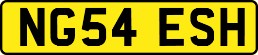 NG54ESH
