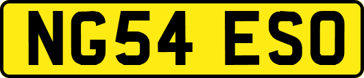NG54ESO