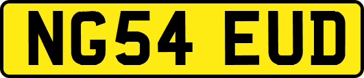 NG54EUD