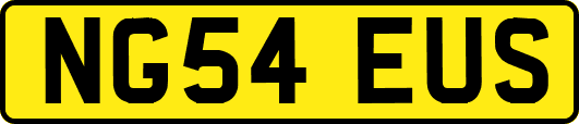 NG54EUS