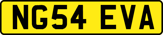 NG54EVA