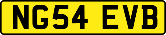 NG54EVB