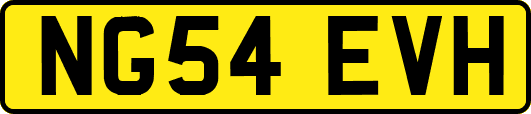 NG54EVH
