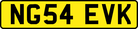 NG54EVK