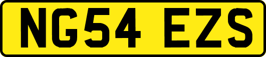 NG54EZS