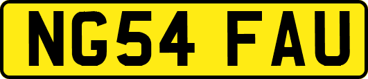 NG54FAU