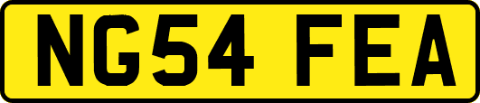 NG54FEA