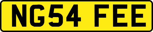 NG54FEE