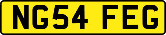 NG54FEG