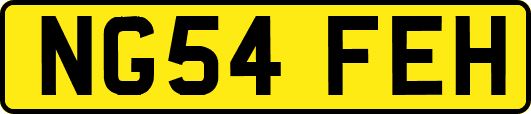 NG54FEH