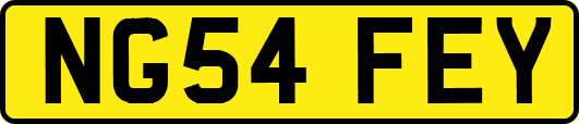 NG54FEY