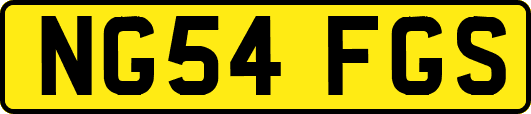 NG54FGS