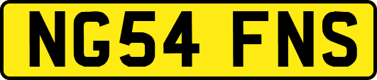 NG54FNS