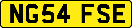 NG54FSE