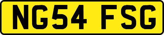 NG54FSG